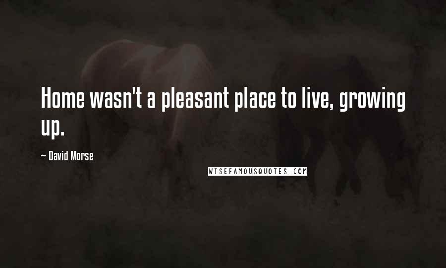 David Morse Quotes: Home wasn't a pleasant place to live, growing up.