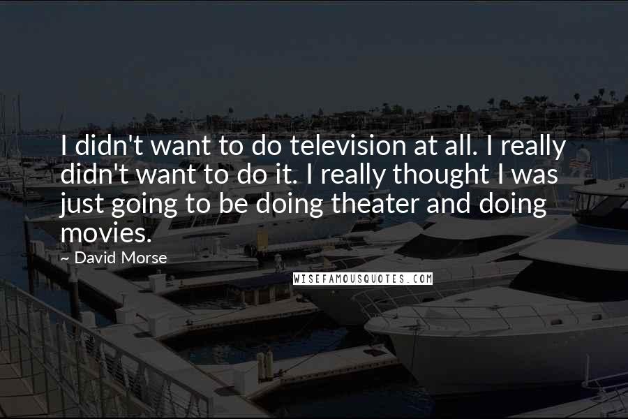 David Morse Quotes: I didn't want to do television at all. I really didn't want to do it. I really thought I was just going to be doing theater and doing movies.