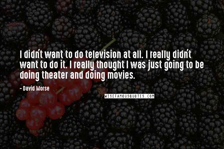 David Morse Quotes: I didn't want to do television at all. I really didn't want to do it. I really thought I was just going to be doing theater and doing movies.