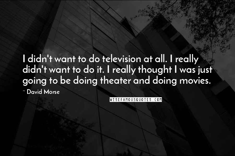 David Morse Quotes: I didn't want to do television at all. I really didn't want to do it. I really thought I was just going to be doing theater and doing movies.
