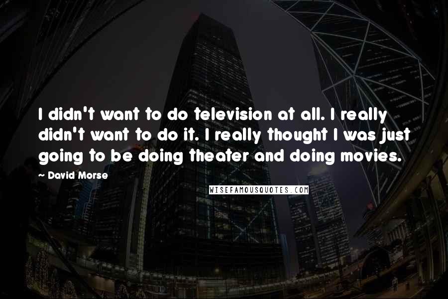David Morse Quotes: I didn't want to do television at all. I really didn't want to do it. I really thought I was just going to be doing theater and doing movies.