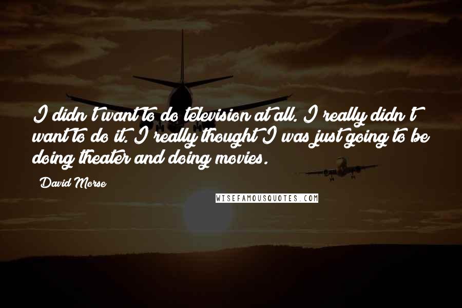 David Morse Quotes: I didn't want to do television at all. I really didn't want to do it. I really thought I was just going to be doing theater and doing movies.