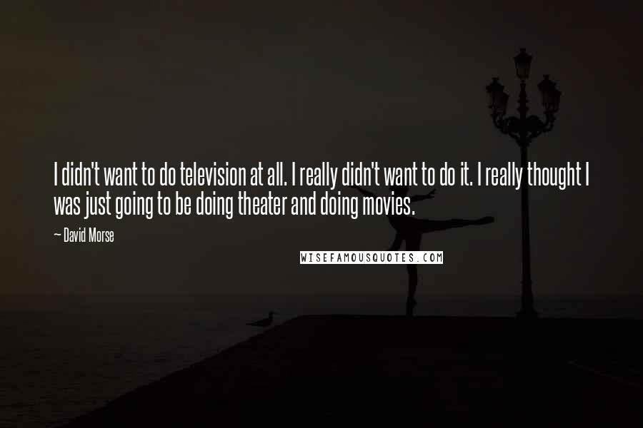 David Morse Quotes: I didn't want to do television at all. I really didn't want to do it. I really thought I was just going to be doing theater and doing movies.