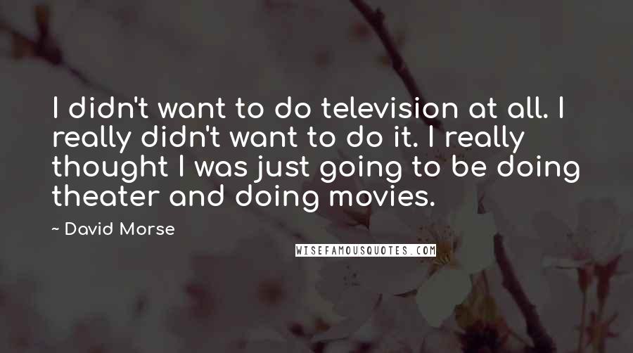 David Morse Quotes: I didn't want to do television at all. I really didn't want to do it. I really thought I was just going to be doing theater and doing movies.