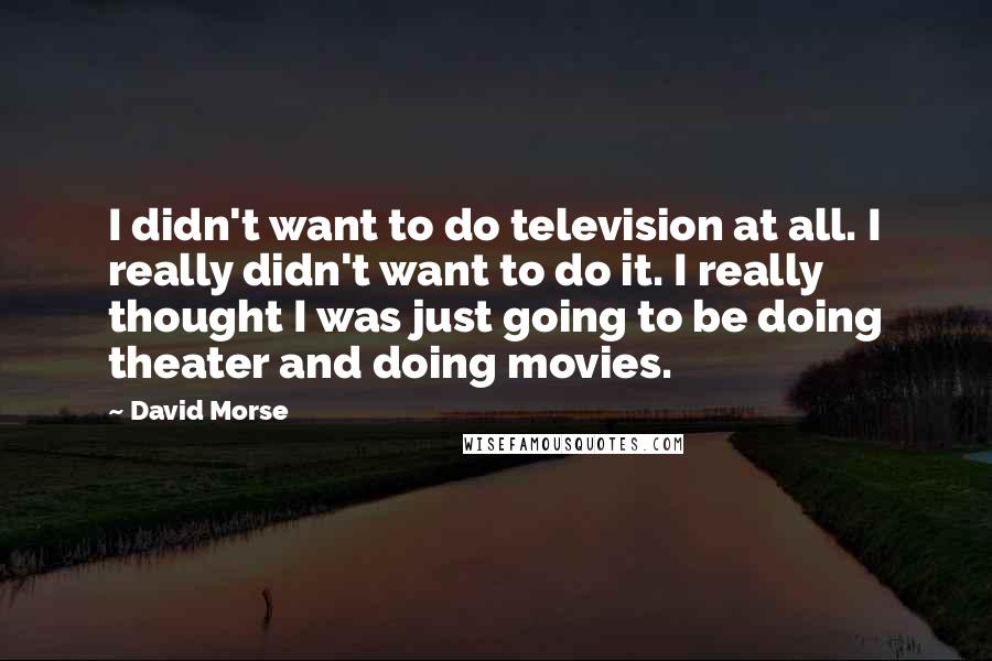 David Morse Quotes: I didn't want to do television at all. I really didn't want to do it. I really thought I was just going to be doing theater and doing movies.