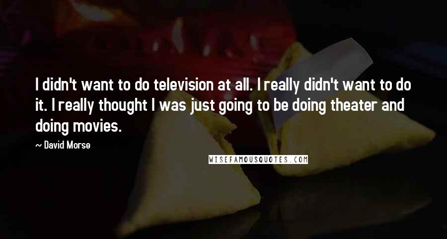 David Morse Quotes: I didn't want to do television at all. I really didn't want to do it. I really thought I was just going to be doing theater and doing movies.
