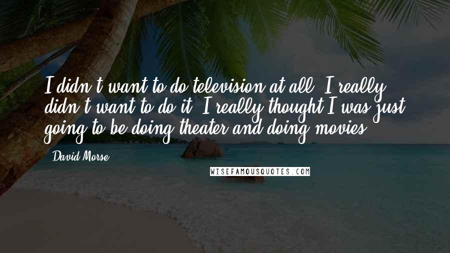 David Morse Quotes: I didn't want to do television at all. I really didn't want to do it. I really thought I was just going to be doing theater and doing movies.