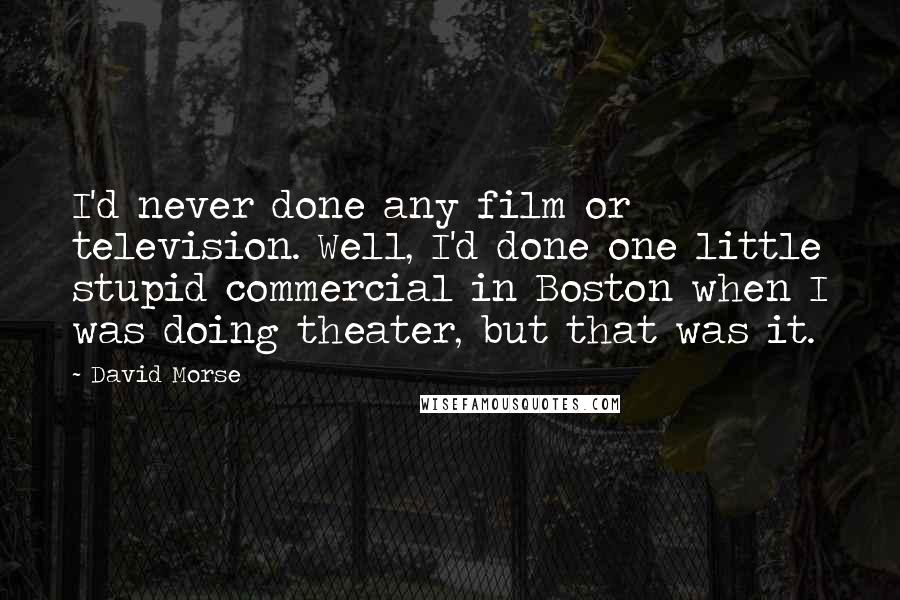 David Morse Quotes: I'd never done any film or television. Well, I'd done one little stupid commercial in Boston when I was doing theater, but that was it.
