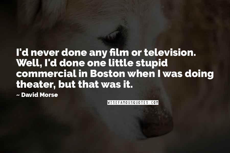 David Morse Quotes: I'd never done any film or television. Well, I'd done one little stupid commercial in Boston when I was doing theater, but that was it.