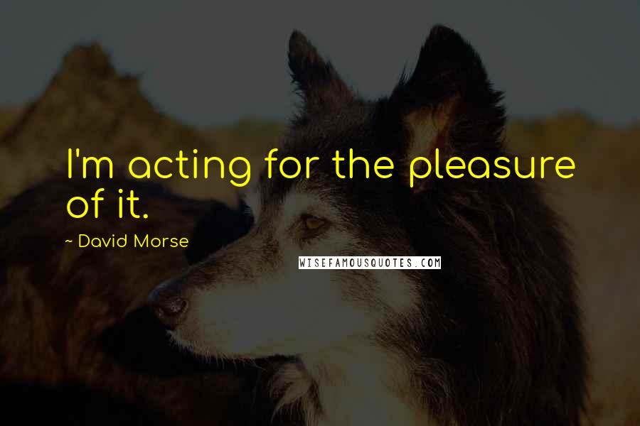David Morse Quotes: I'm acting for the pleasure of it.