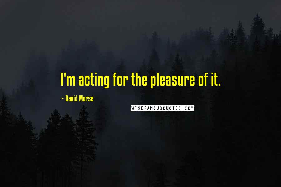 David Morse Quotes: I'm acting for the pleasure of it.