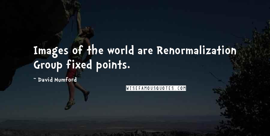 David Mumford Quotes: Images of the world are Renormalization Group fixed points.