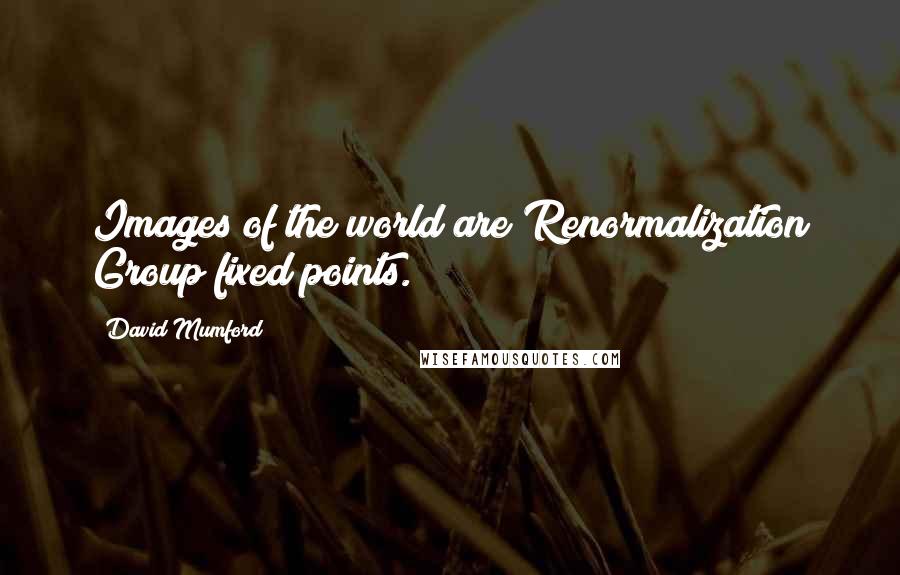 David Mumford Quotes: Images of the world are Renormalization Group fixed points.