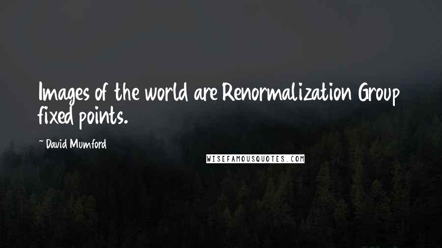 David Mumford Quotes: Images of the world are Renormalization Group fixed points.