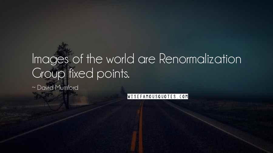 David Mumford Quotes: Images of the world are Renormalization Group fixed points.