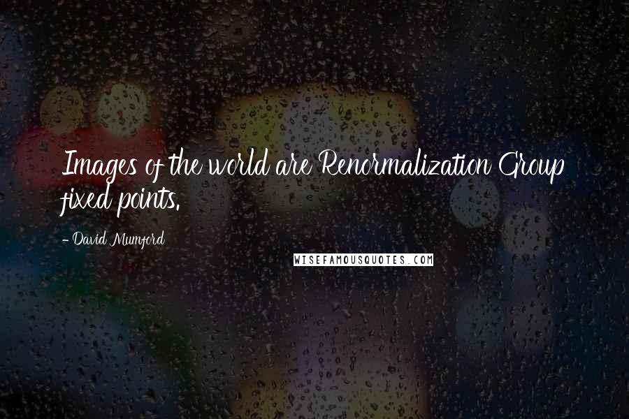 David Mumford Quotes: Images of the world are Renormalization Group fixed points.