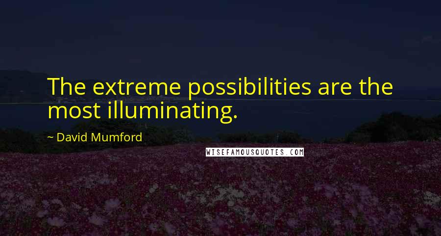 David Mumford Quotes: The extreme possibilities are the most illuminating.