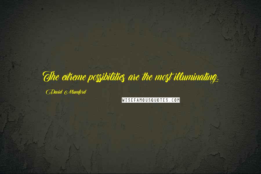 David Mumford Quotes: The extreme possibilities are the most illuminating.