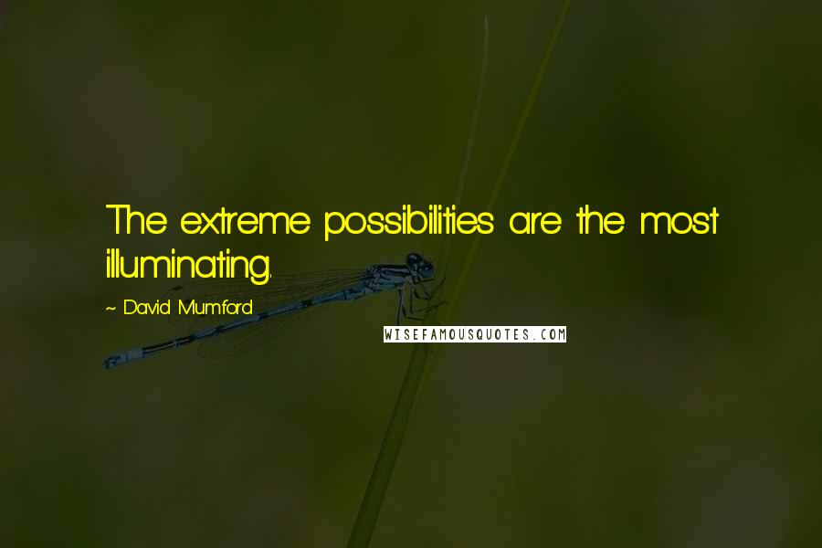 David Mumford Quotes: The extreme possibilities are the most illuminating.