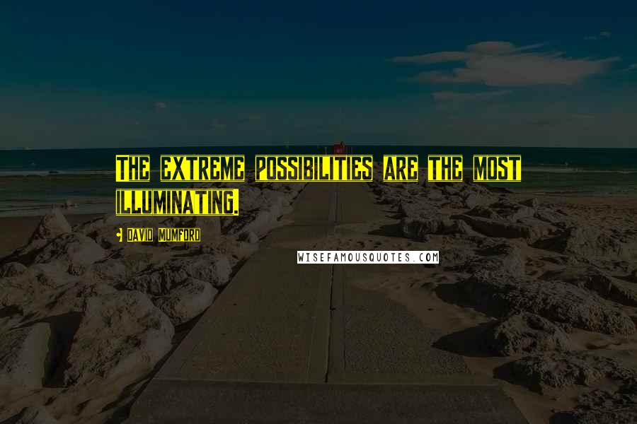 David Mumford Quotes: The extreme possibilities are the most illuminating.