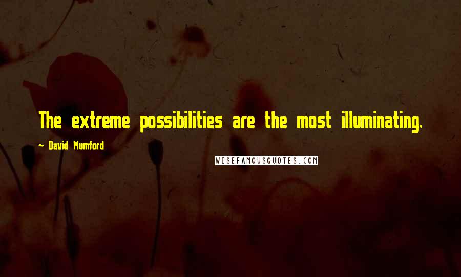 David Mumford Quotes: The extreme possibilities are the most illuminating.