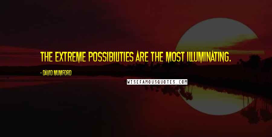 David Mumford Quotes: The extreme possibilities are the most illuminating.