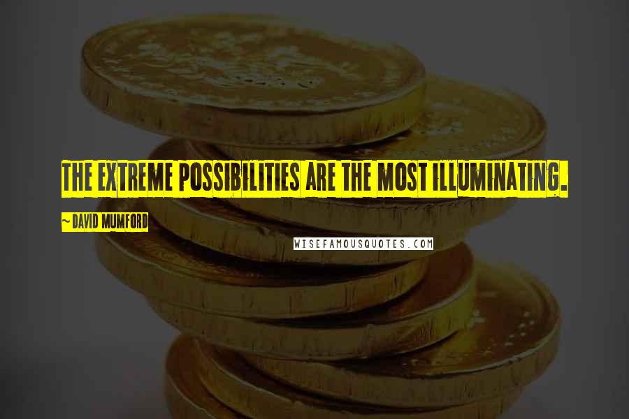 David Mumford Quotes: The extreme possibilities are the most illuminating.