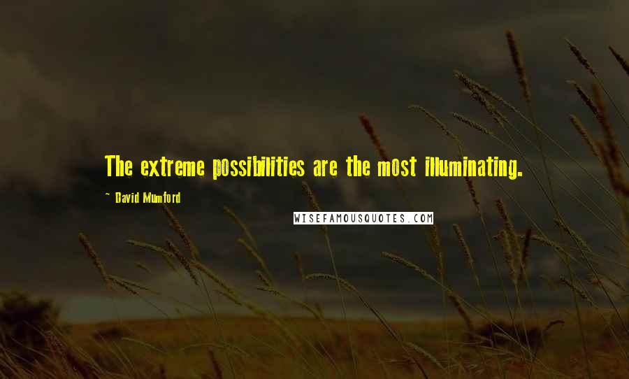 David Mumford Quotes: The extreme possibilities are the most illuminating.