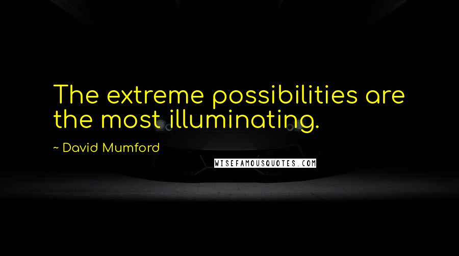 David Mumford Quotes: The extreme possibilities are the most illuminating.