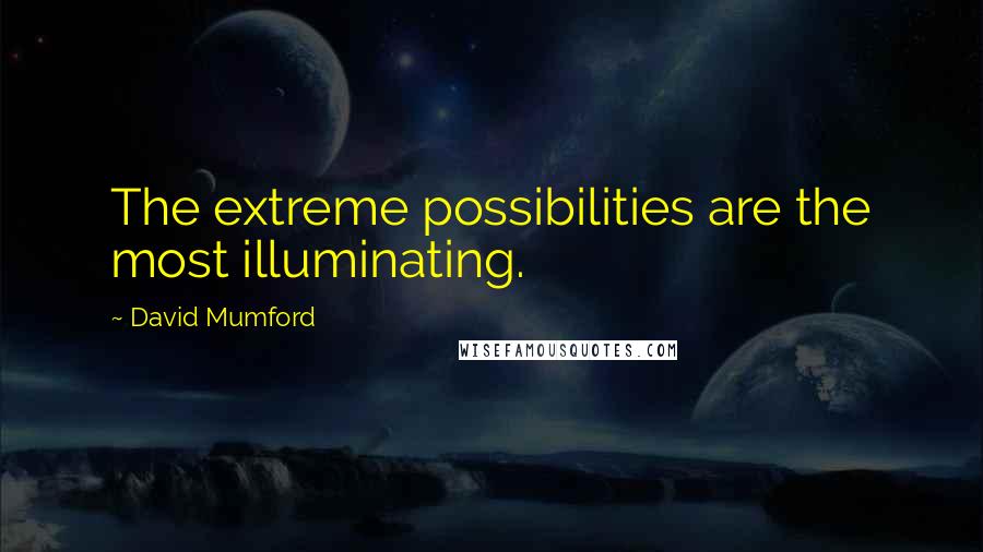 David Mumford Quotes: The extreme possibilities are the most illuminating.