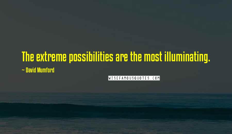 David Mumford Quotes: The extreme possibilities are the most illuminating.