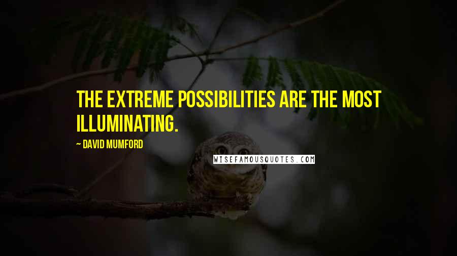 David Mumford Quotes: The extreme possibilities are the most illuminating.