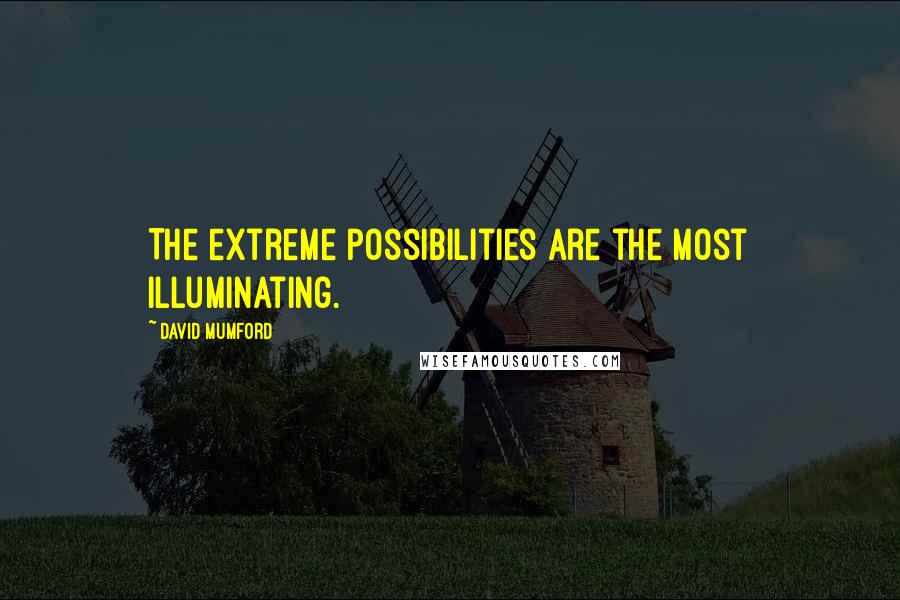 David Mumford Quotes: The extreme possibilities are the most illuminating.