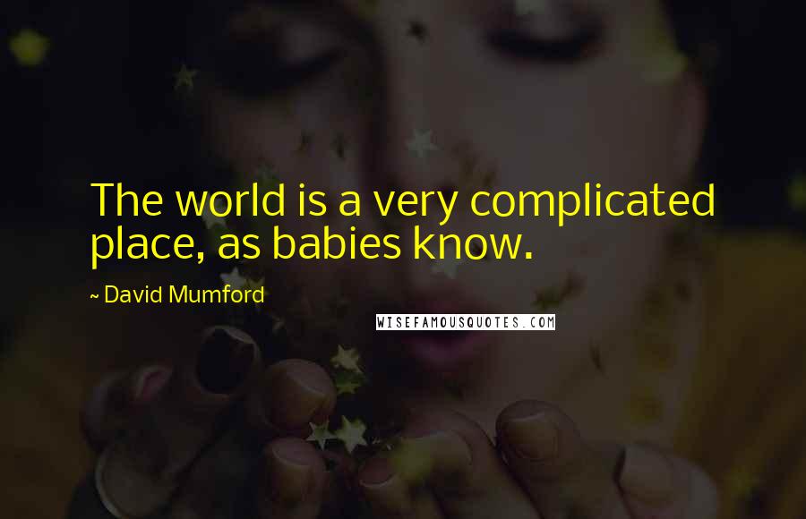 David Mumford Quotes: The world is a very complicated place, as babies know.