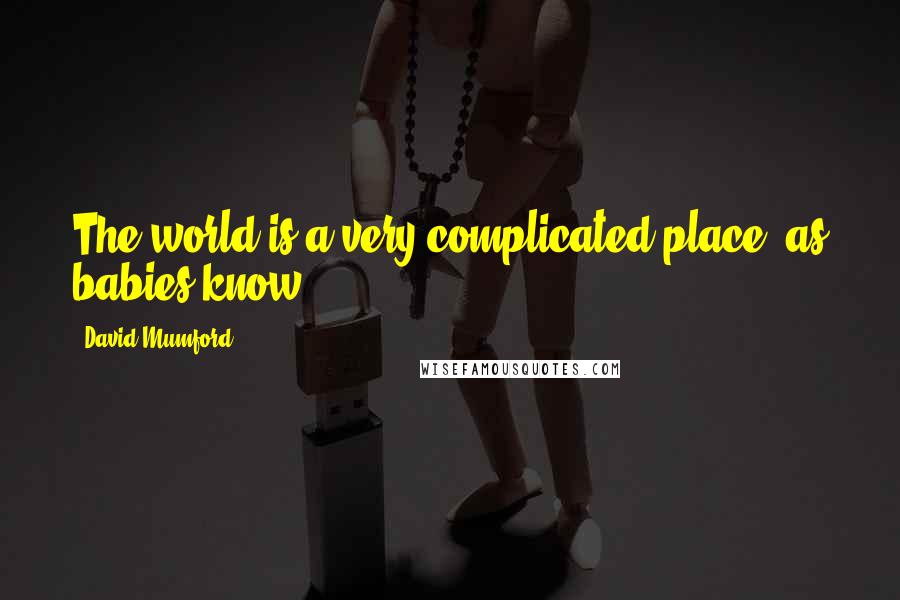 David Mumford Quotes: The world is a very complicated place, as babies know.