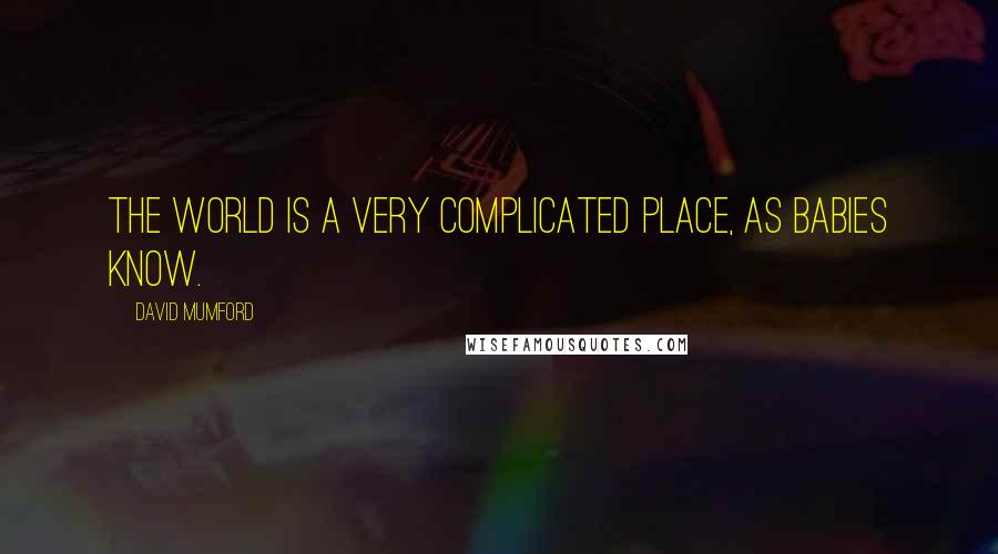 David Mumford Quotes: The world is a very complicated place, as babies know.