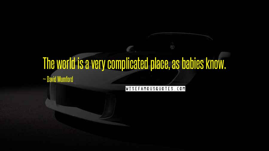 David Mumford Quotes: The world is a very complicated place, as babies know.