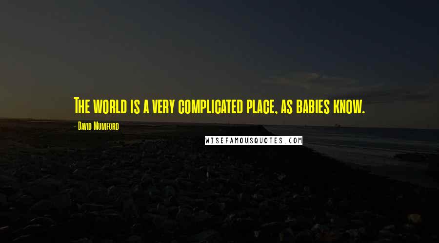 David Mumford Quotes: The world is a very complicated place, as babies know.