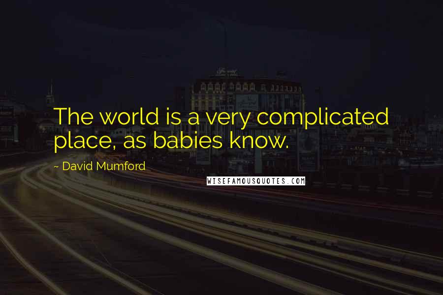 David Mumford Quotes: The world is a very complicated place, as babies know.