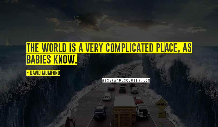 David Mumford Quotes: The world is a very complicated place, as babies know.