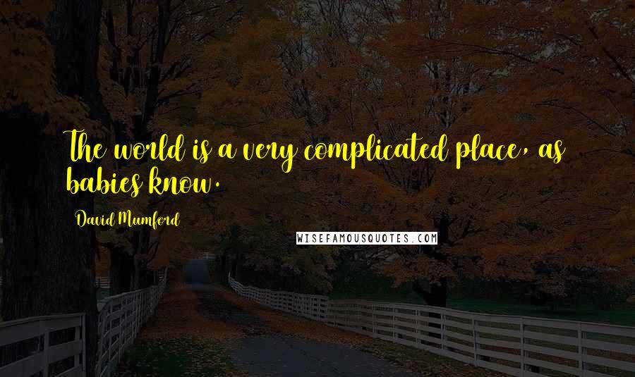 David Mumford Quotes: The world is a very complicated place, as babies know.