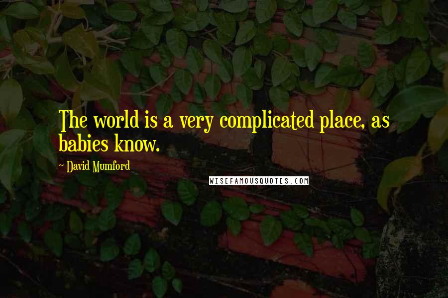 David Mumford Quotes: The world is a very complicated place, as babies know.