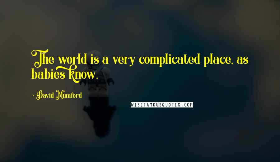 David Mumford Quotes: The world is a very complicated place, as babies know.