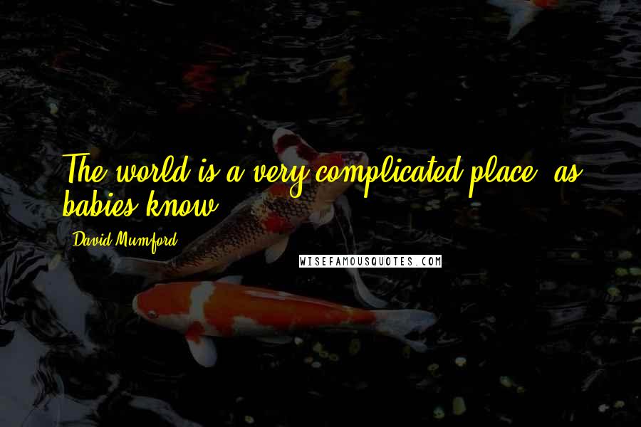 David Mumford Quotes: The world is a very complicated place, as babies know.