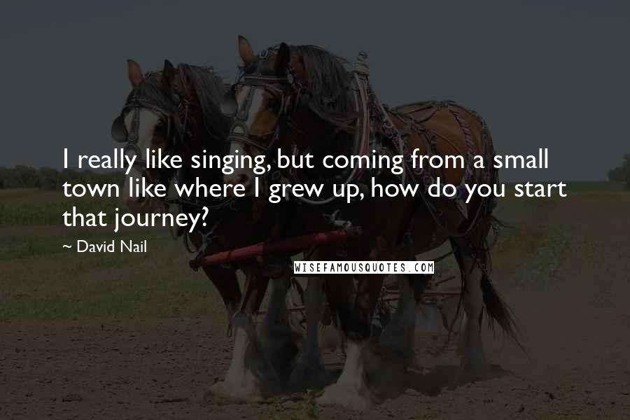 David Nail Quotes: I really like singing, but coming from a small town like where I grew up, how do you start that journey?