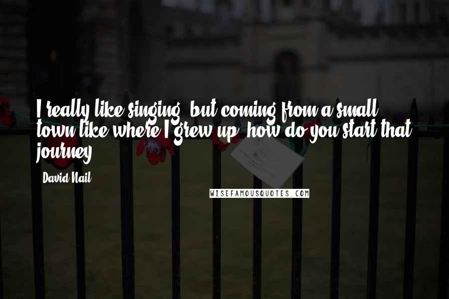 David Nail Quotes: I really like singing, but coming from a small town like where I grew up, how do you start that journey?