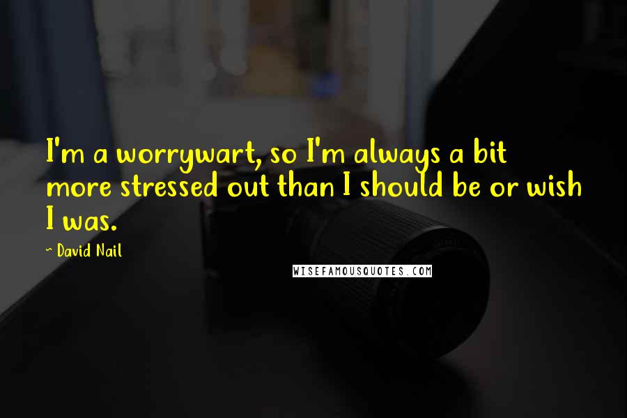David Nail Quotes: I'm a worrywart, so I'm always a bit more stressed out than I should be or wish I was.