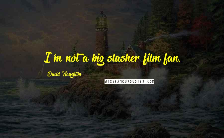David Naughton Quotes: I'm not a big slasher film fan.
