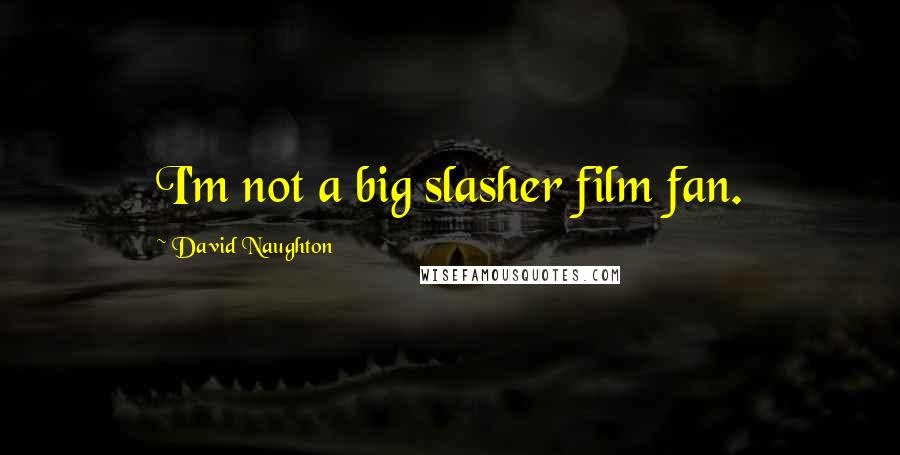 David Naughton Quotes: I'm not a big slasher film fan.