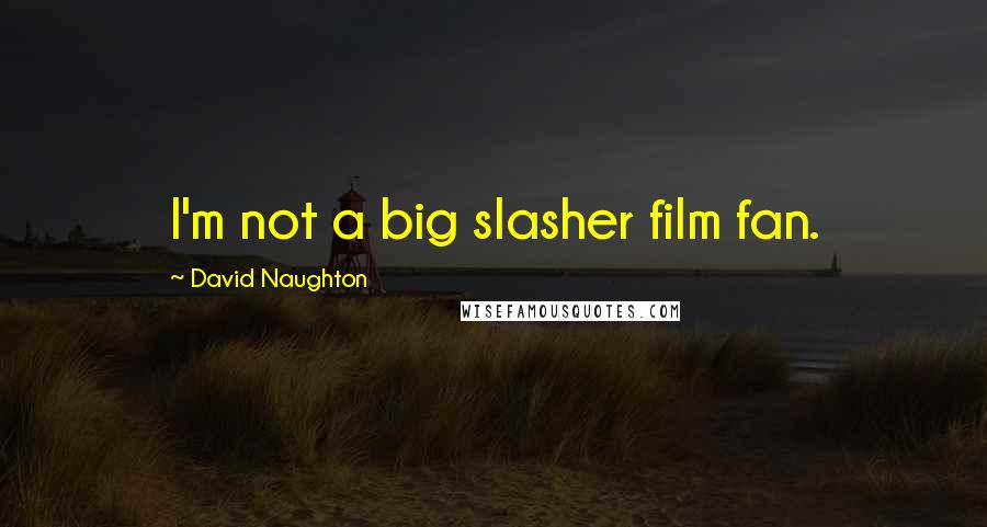 David Naughton Quotes: I'm not a big slasher film fan.